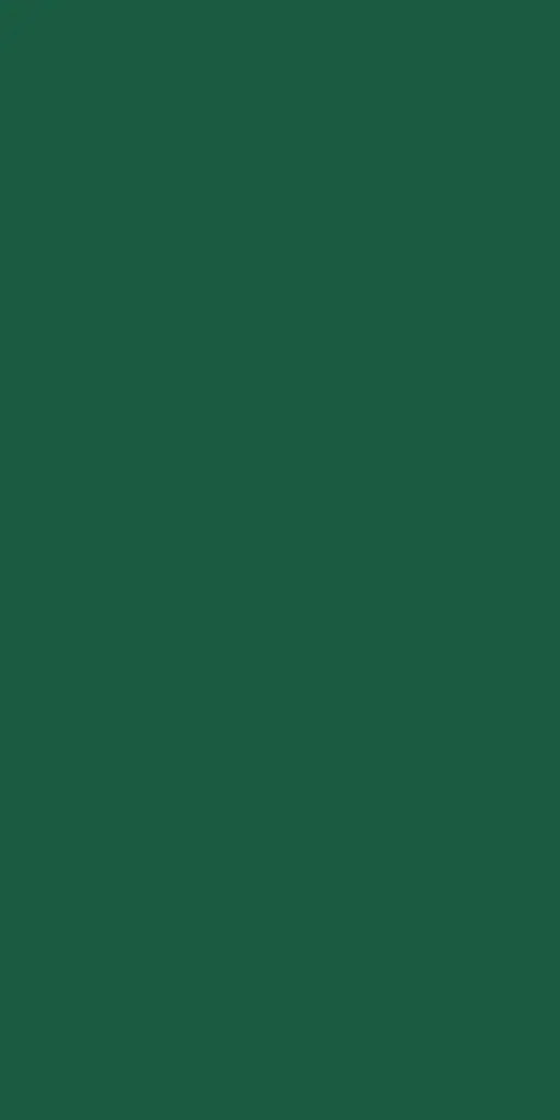 serviettes-ouate-40x40-cm-3-plis-pliage-1-8-1250pcs-vert-fonce-top.webp