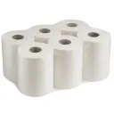 Papier main et toilette