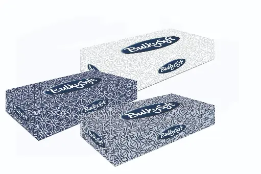 Facial tissues BulkySoft Classic 21x21 cm 40 dozen