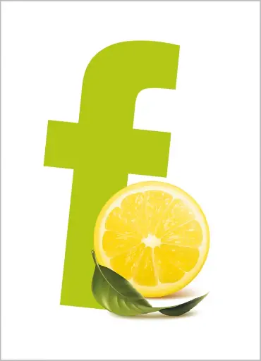 Erfrischungstücher Duni Fresh Green 1000 Stk
