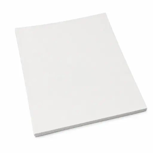 Papier d'emballage frites — feuilles 40 × 60 cm — carton 10kg